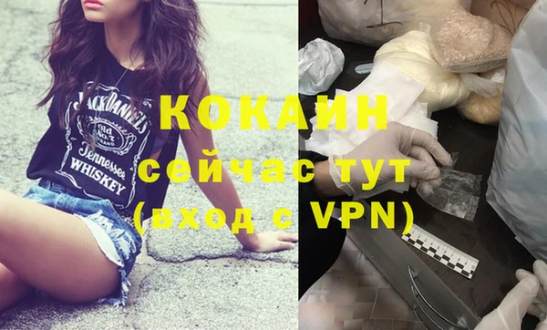 дурь Дмитриев
