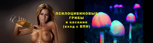 соль ск Дмитров