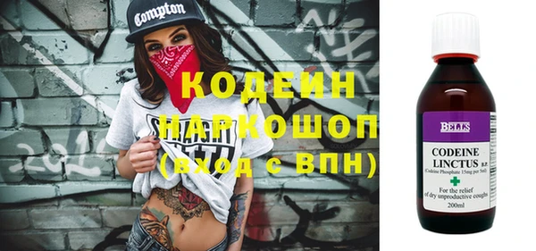 индика Новосибирск