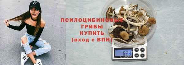 дурь Дмитриев