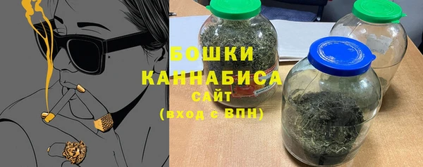 дурь Дмитриев