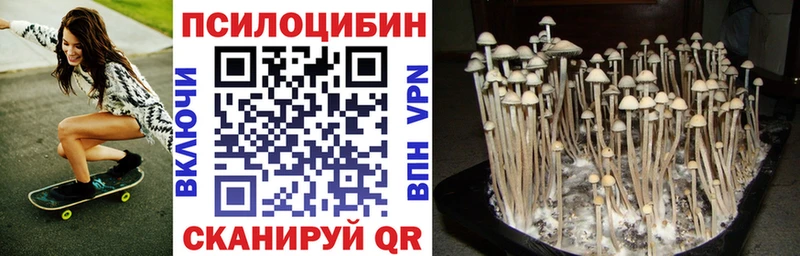 Псилоцибиновые грибы прущие грибы  купить наркотики сайты  Жуков 